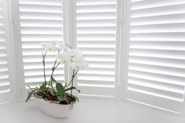 Plantation shutters pros and cons interior example White plantation shutters Pros and cons