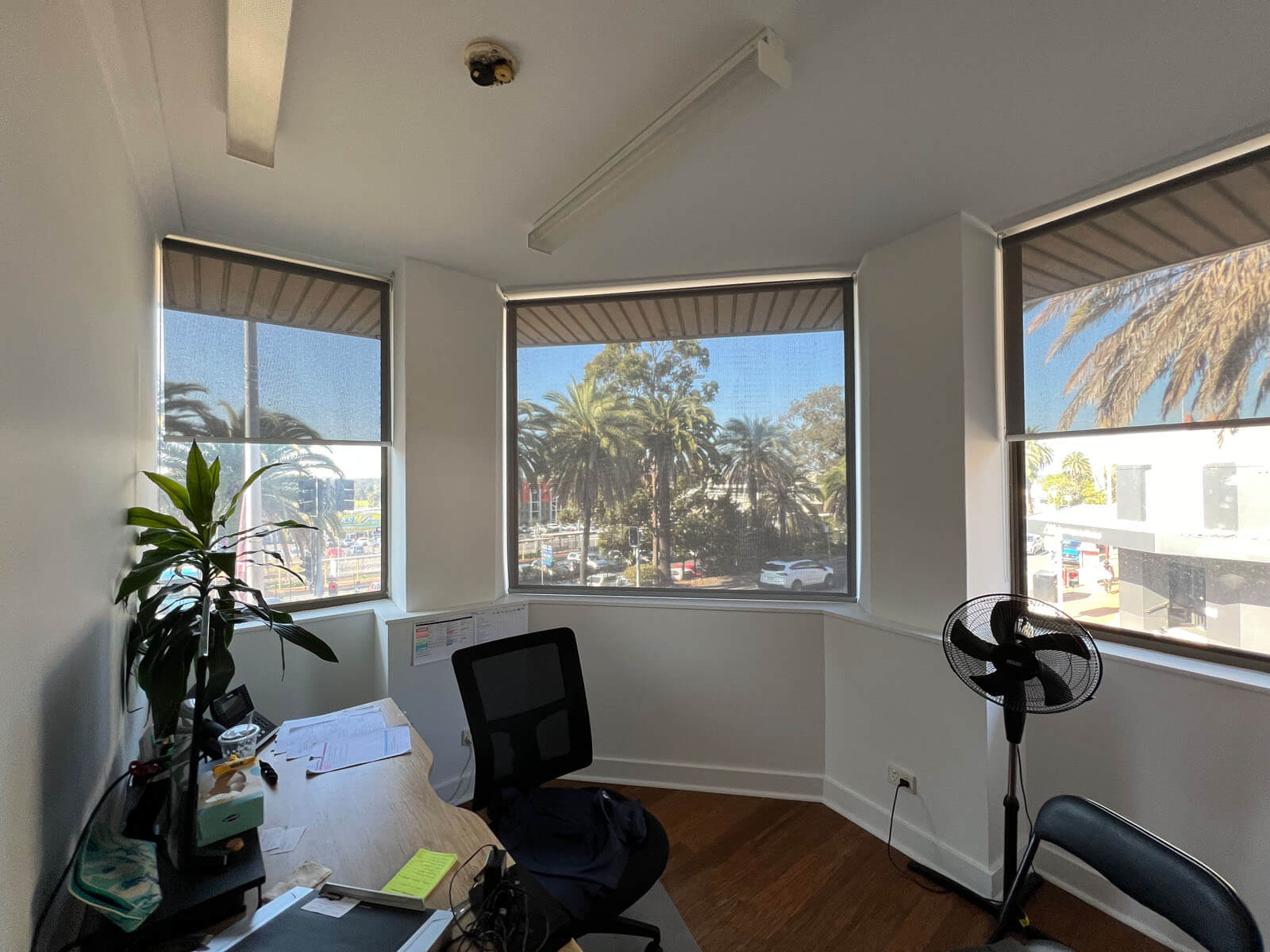 Modern office blinds providing light control and privacy in a professional workspace.